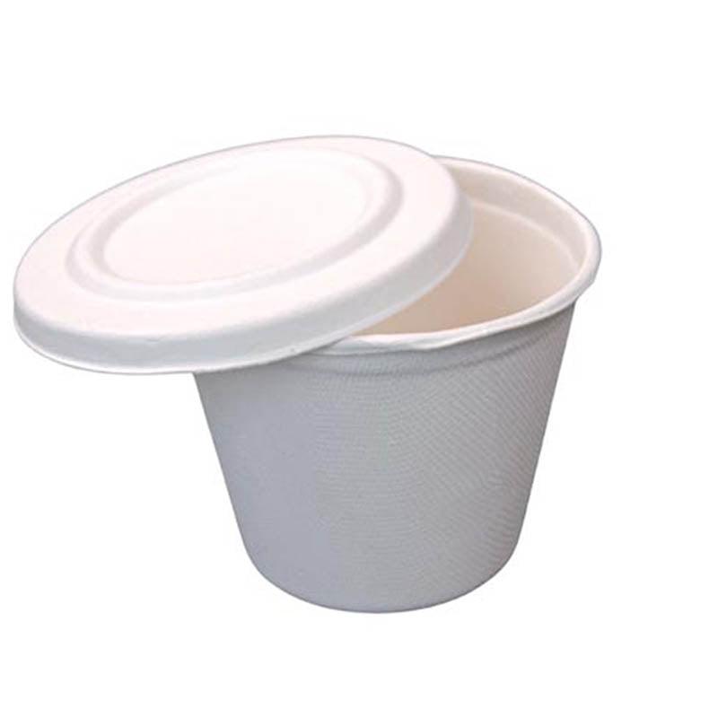 ENVASE DE BAGAZO CON TAPA PARA SOPA (20-OZ) (P/25U)
