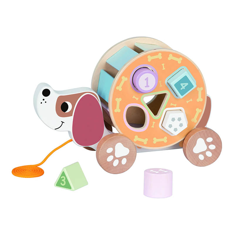 TOOKY TL033N (12 AGE) DRAG PUPPY