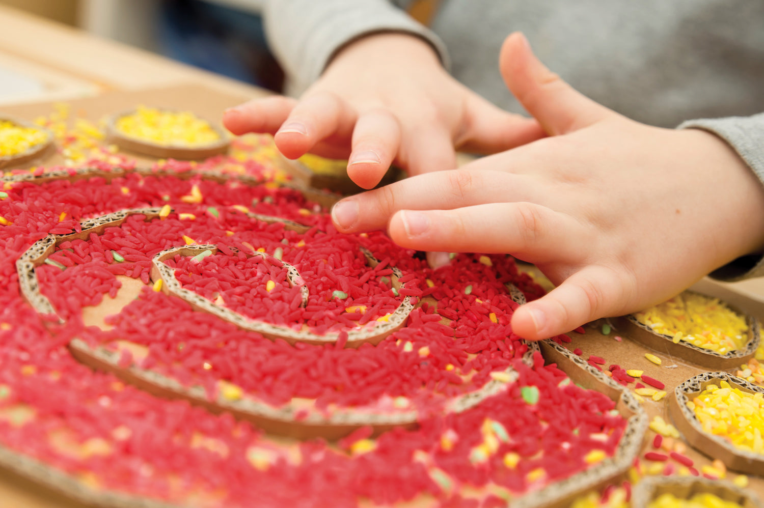 ROYLCO SENSORY RICE