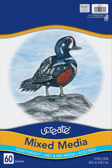 PACON 4843 MULTI MEDIA ART PAPER 12"X18" (60-SHEETS)