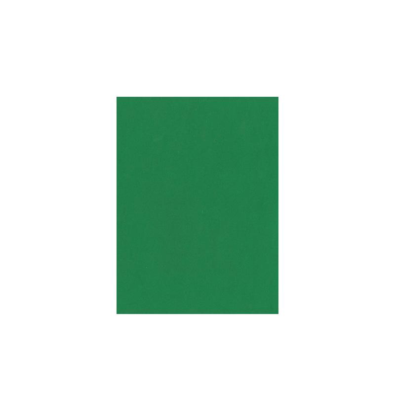 Foamy Force (8.5" x 11") (10 unidades)