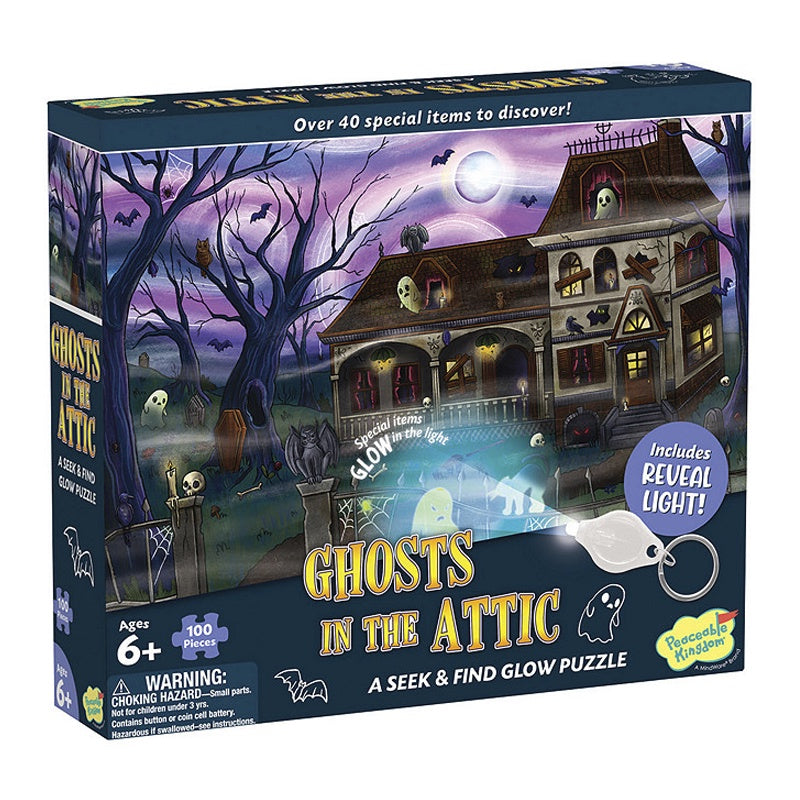 Ghost in the Attic Seek & Find Glow Puzzle