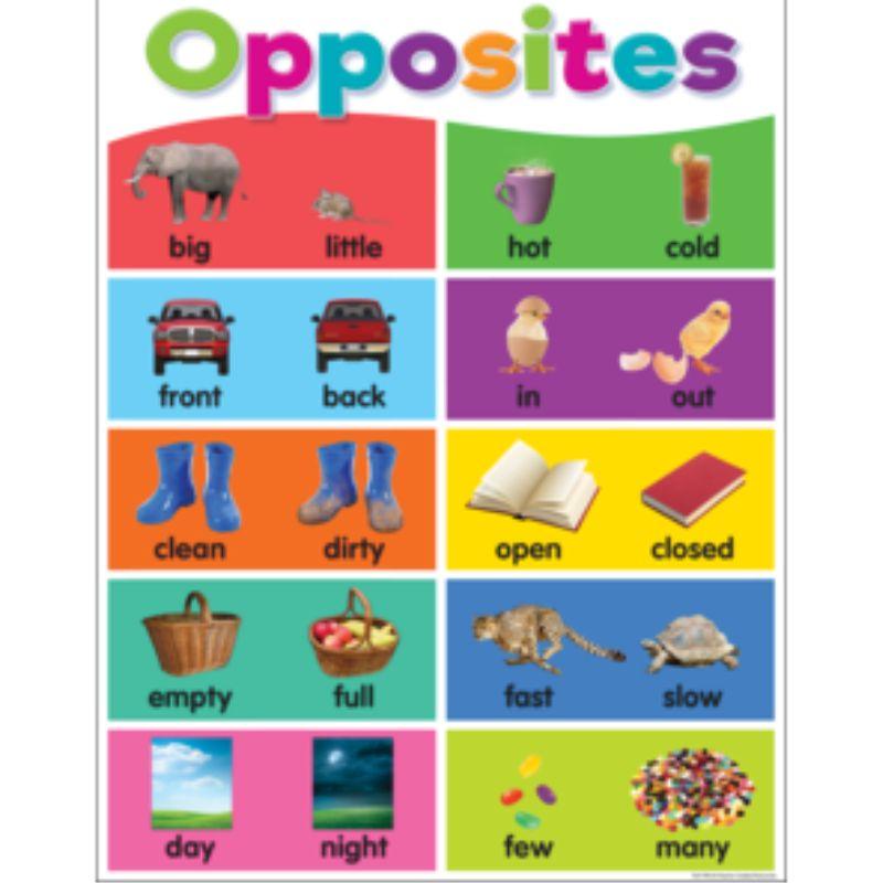 Lámina Opposites Colorful Chart