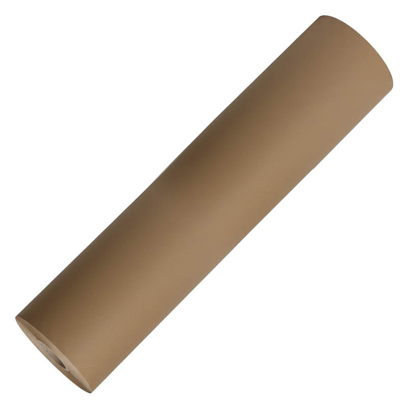 PAPEL P.ESS-EPP20165-1020 (22165) ROLLO EXTRA PROTECTION PAPER 22GR 65"X 1020M