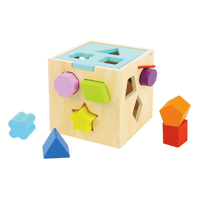 TOOKY TK494-EV (12 AGE) 13PCS SHAPE SORTER