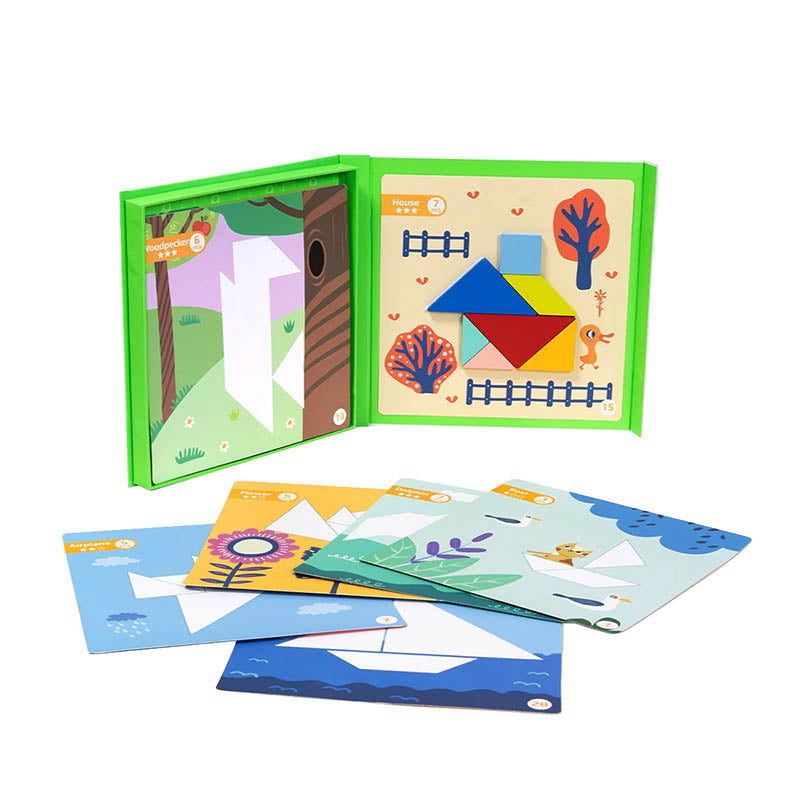 TOOKY TF642 JUEGO DE TANGRAM MAGNÉTICO (3+ EDAD) (18 PIEZAS)