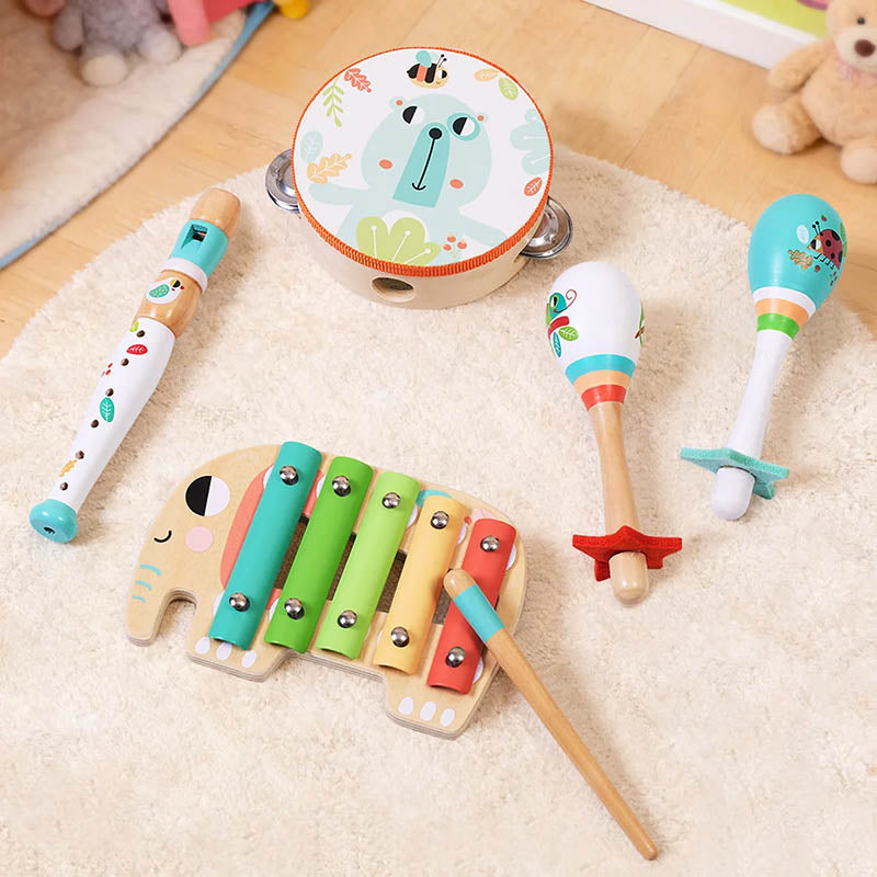 TOOKY TF567 JUEGO DE INSTRUMENTOS MUSICALES (18+ MESES) (6 PIEZAS)