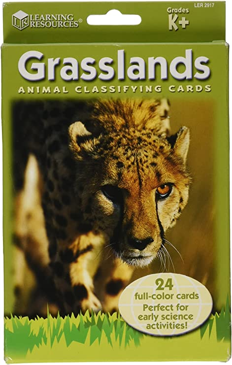 Learning resources classifying cards (24) grasslands animal (k)