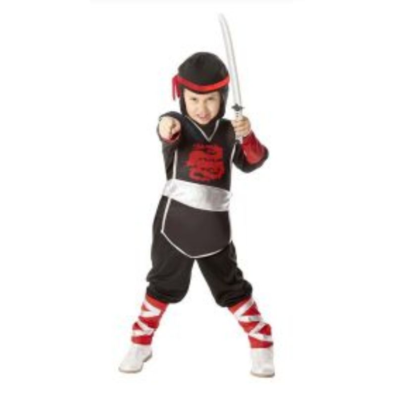 Ninja Role Play Set