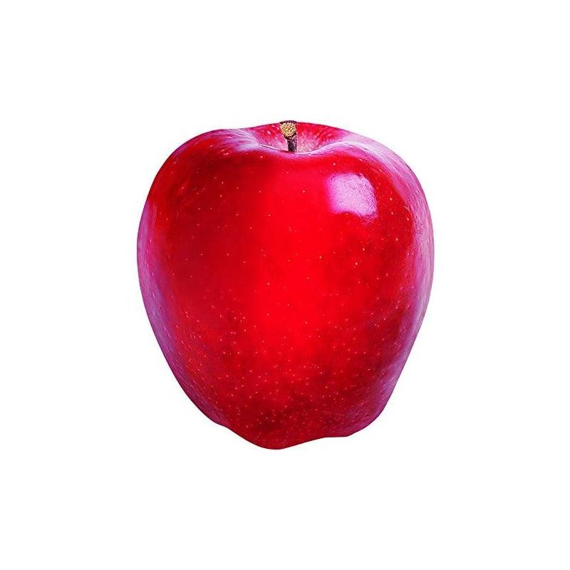 TREND CLASSIC ACCENTS SINGLE DESIGNS RED APPLES (36-PACK/6")